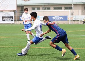 RAYO 2 WEB