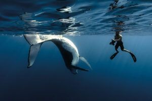 Álvaro fotografiando ballenas en Polinesia Francesa. Foto de Sofía Viegas.